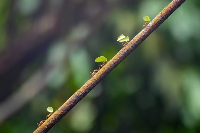 Part of the jury selection of CREA's photo expo