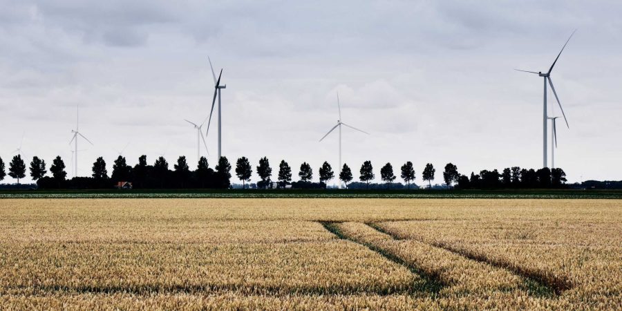 Exposed at Buitenkunst Randmeer in July 2025