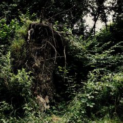 Exposed at Buitenkunst Randmeer in July 2025